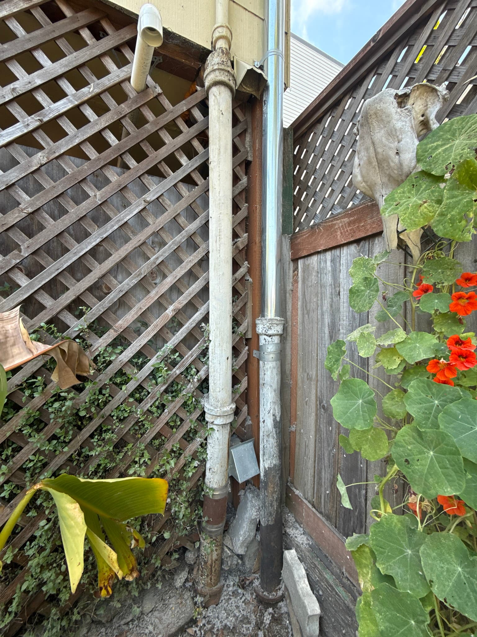 Two dryer exhaust vent termination caps mounted side by side through a wooden perimeter fence, with exhaust openings facing outward away from the structure