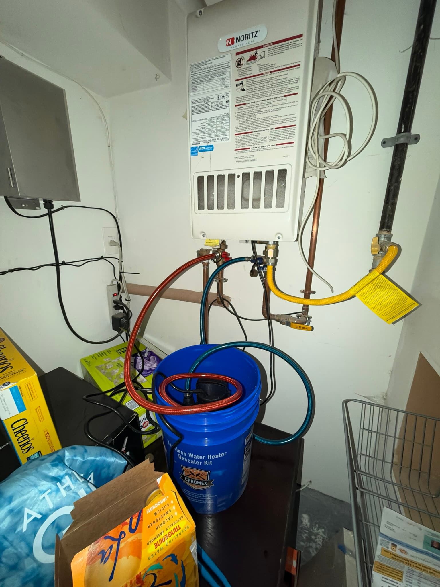 Tankless water heater connected to a blue descaling solution bucket via red and blue hoses looped through the service valves during the annual de-scaling treatment