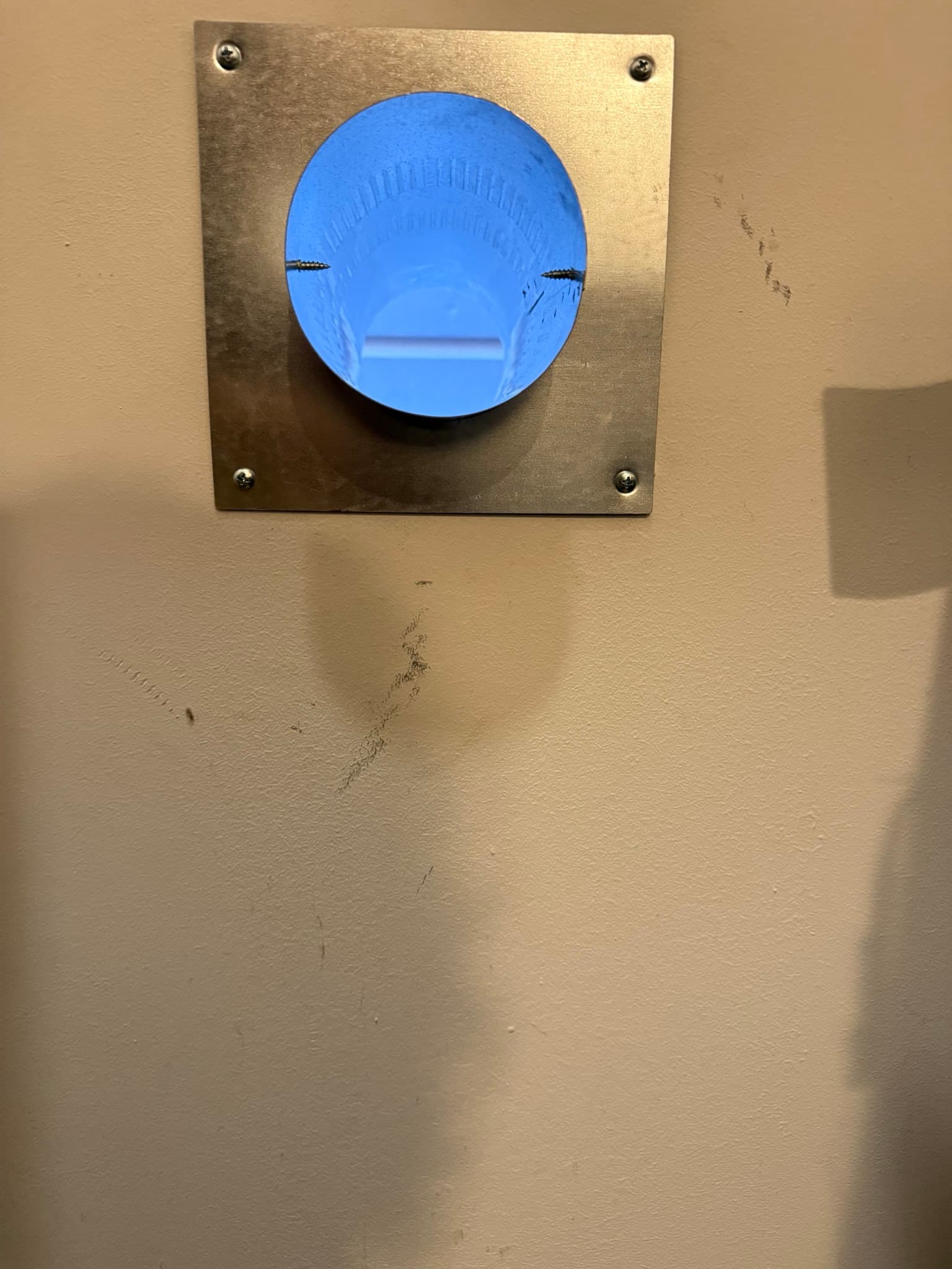 Interior wall view of a dryer vent cap with a metal escutcheon plate secured by four screws and a blue plastic periscope-style vent hood with visible louvers. The hood interior appears clean with no visible lint.