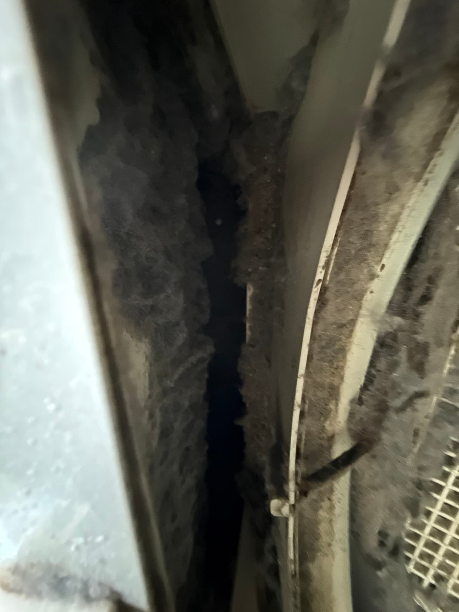 Technician inspecting the dryer vent duct run along an exposed garage wall