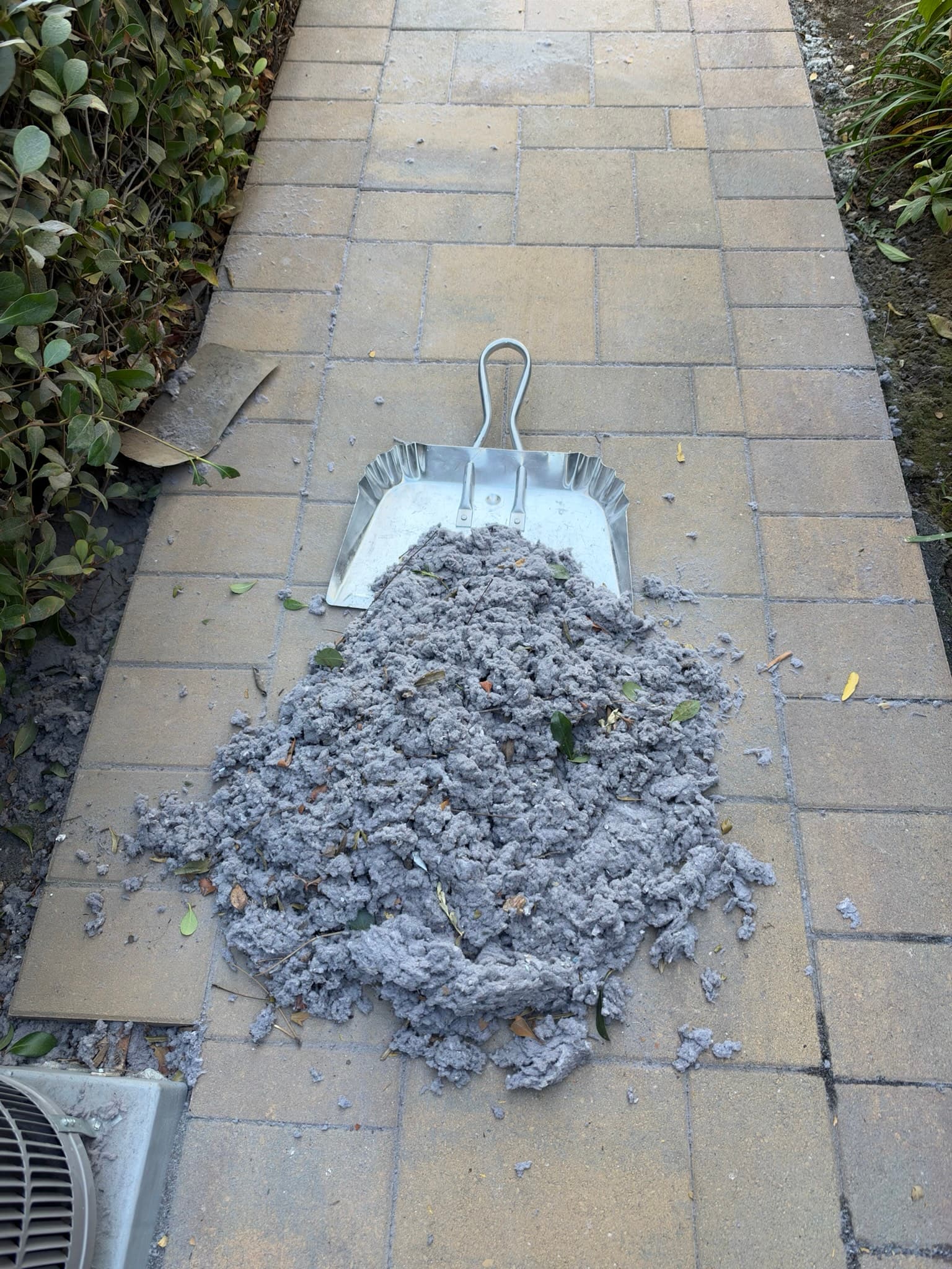 Large pile of compacted gray lint mixed with leaf debris on pavement next to a metal dust pan after being removed from the dryer exhaust duct.