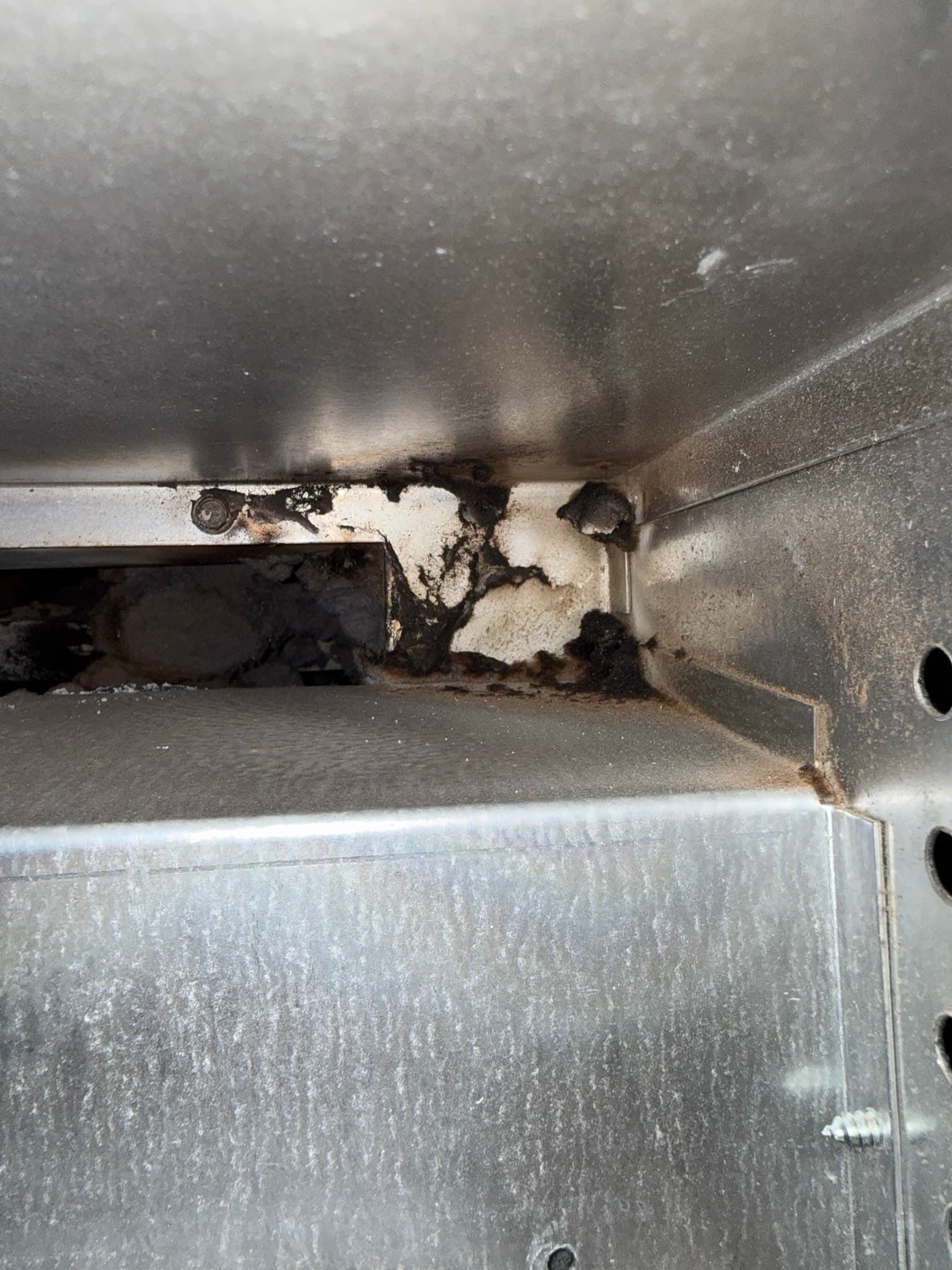 Interior view of a commercial dryer exhaust duct heavily coated with lint along the walls, with a dense lint mass visible blocking or protruding from the duct opening, representing a significant airflow restriction and fire hazard