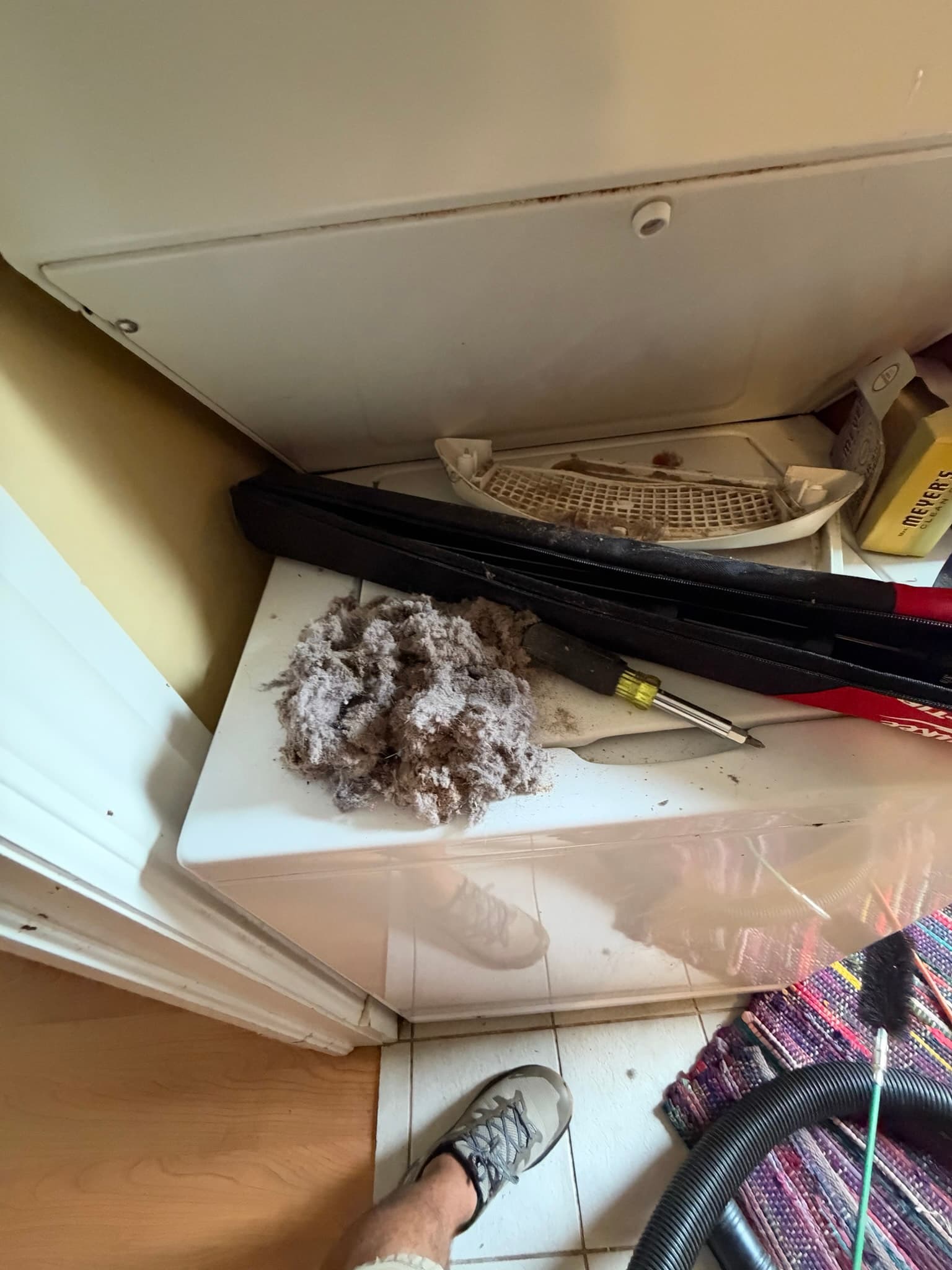 Lint trap housing pulled from the dryer back panel showing a caked screen and a large matted clump of extracted lint resting on top of the dryer cabinet