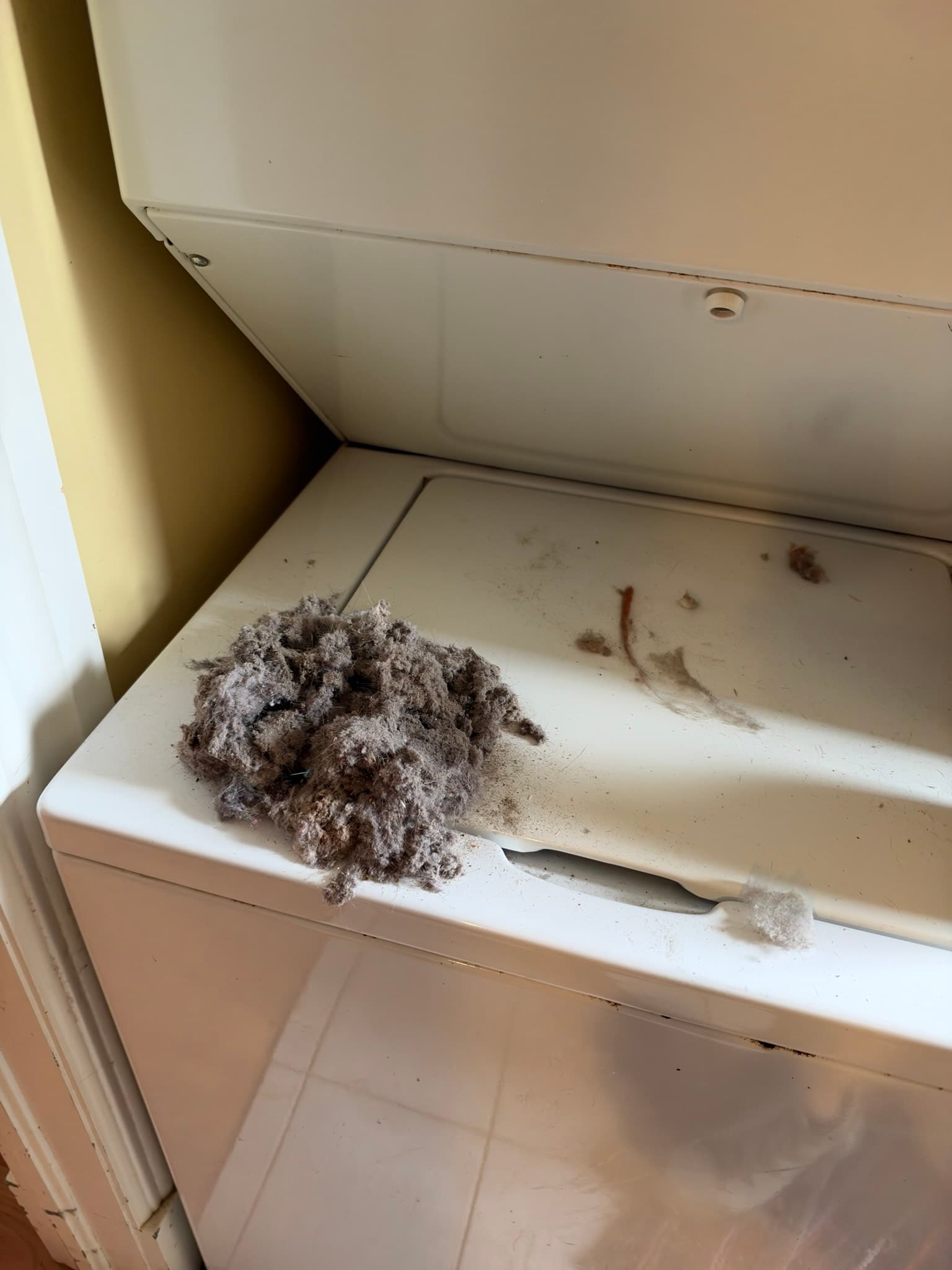 A dense, matted clump of lint pulled from the dryer exhaust path resting on top of the machine with loose fibers scattered nearby
