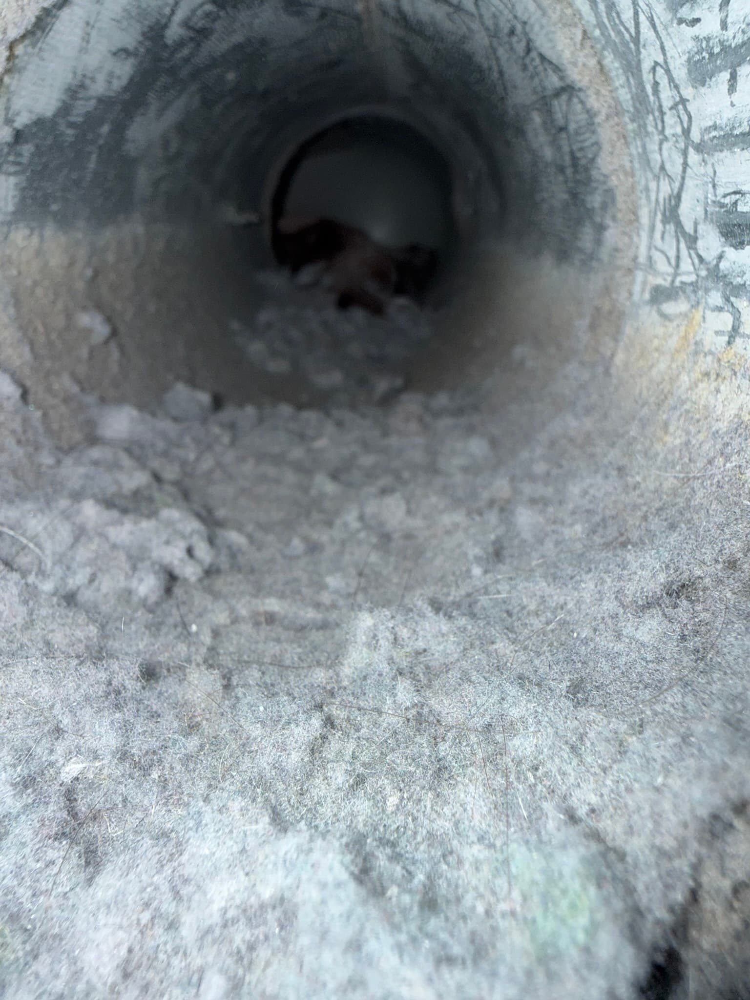 Photo from Residential Dryer Exhaust Cleaning & Inspection