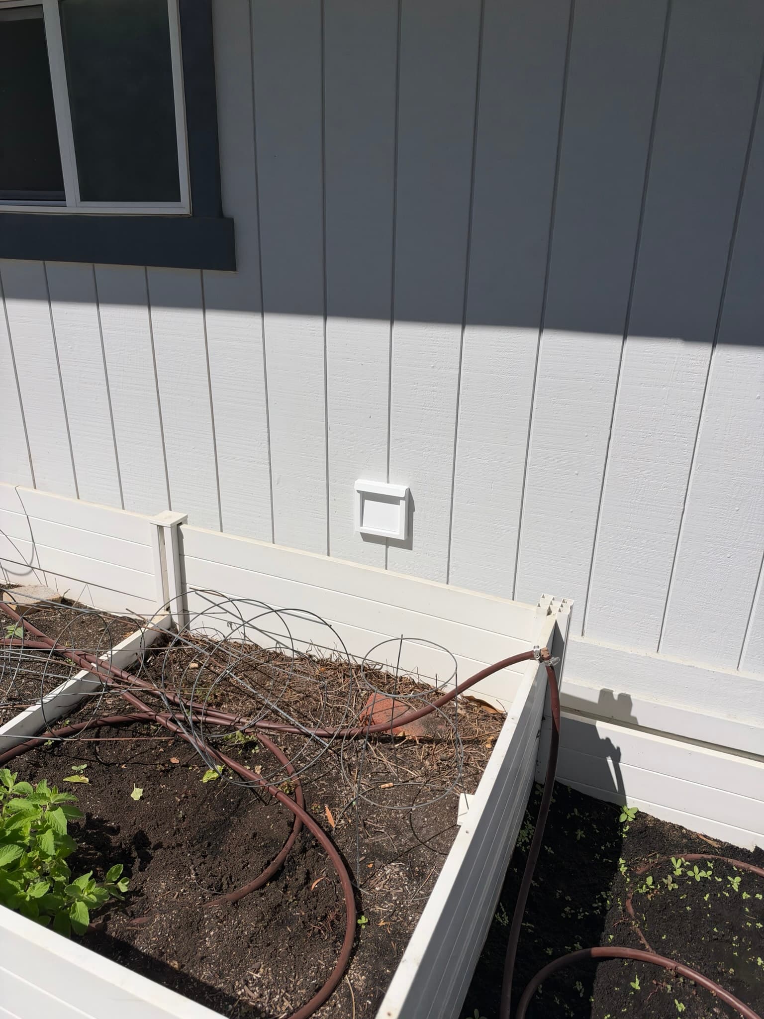 New white 4 inch flush mount exterior dryer wall vent installed against the home's siding above a raised garden bed, with the damper flap closed and the opening clear of obstructions.
