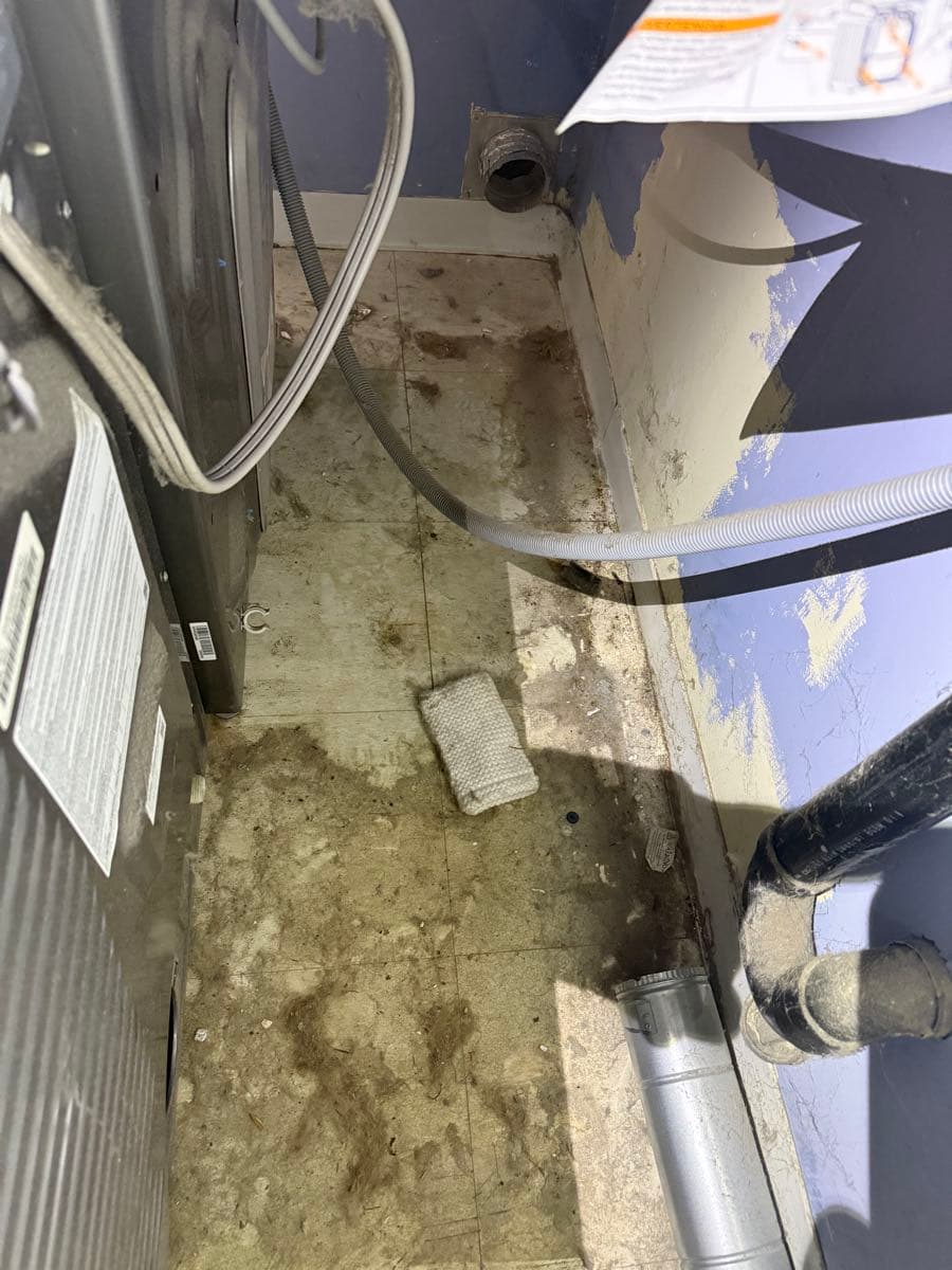 Dryer vent termination point and exterior cap inspection