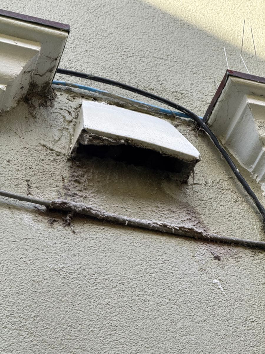 Exterior dryer vent termination cap wedged open by compacted wet lint packed into the corners of the flap, preventing the backdraft damper from closing