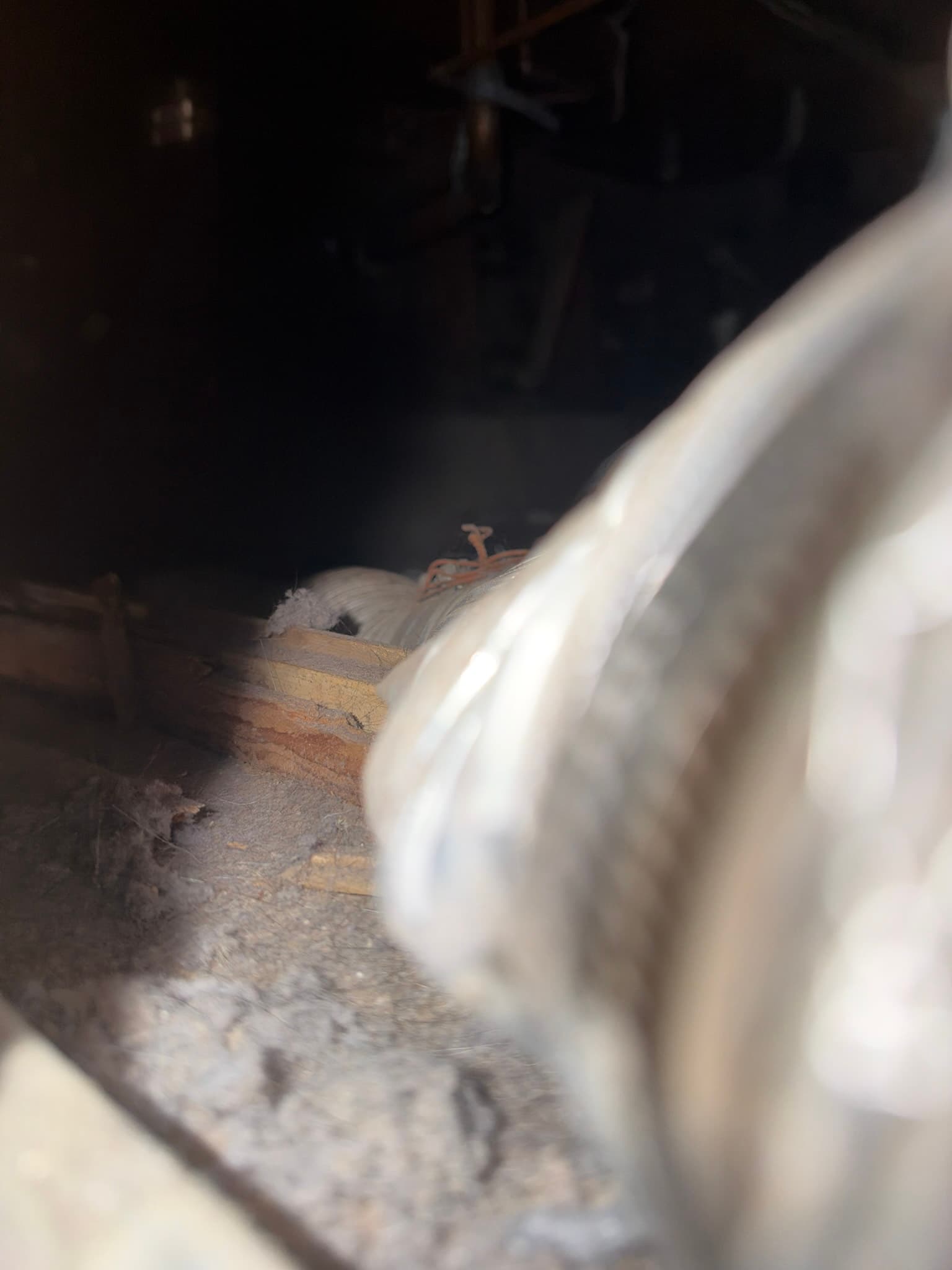 Close-up of flexible transition duct behind the dryer with heavy lint buildup along its length and on the surrounding floor.