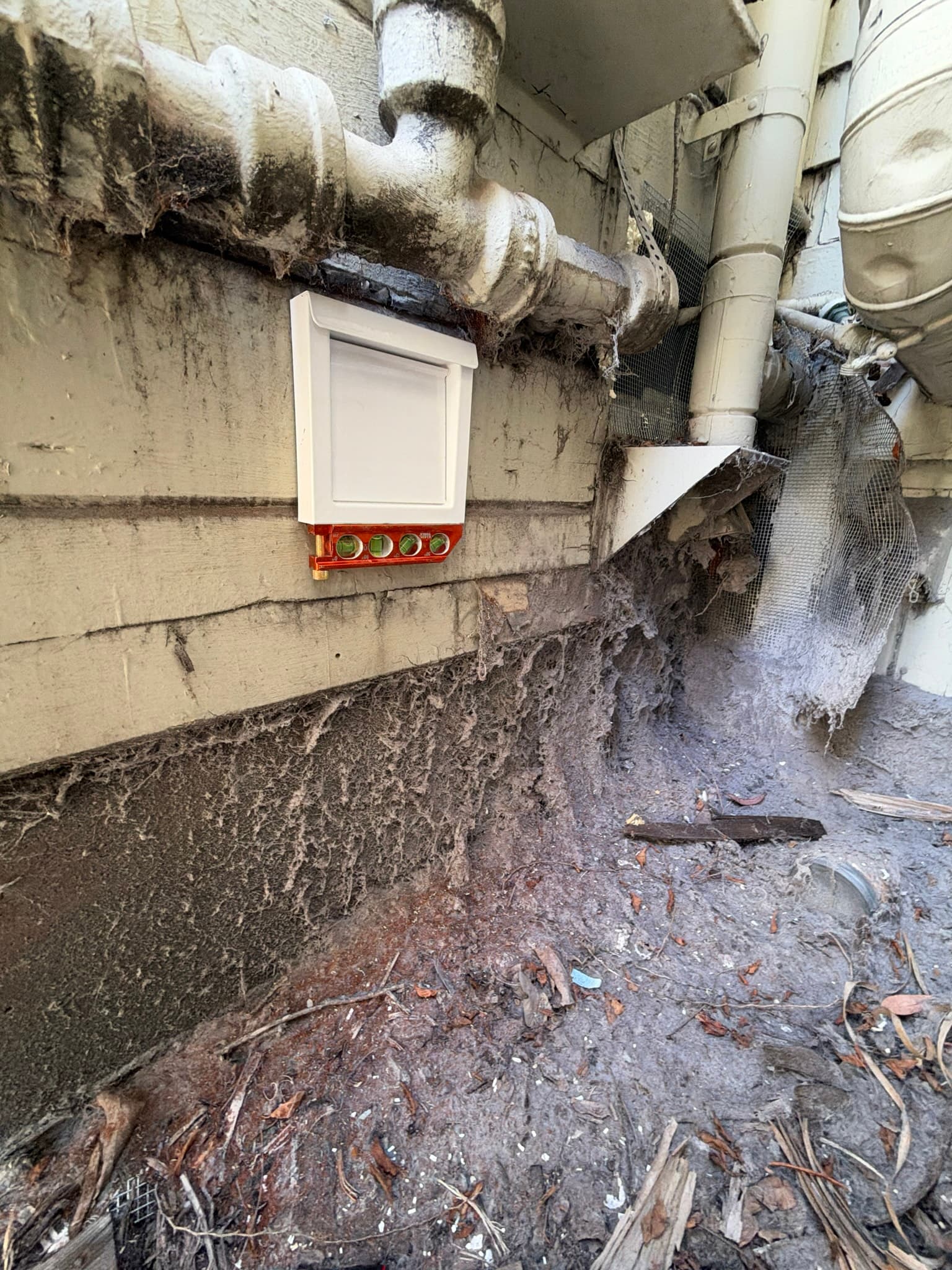 Newly installed white flush-mount dryer wall vent on exterior siding, surrounded by heavily matted lint and gray debris from prior exhaust leakage.