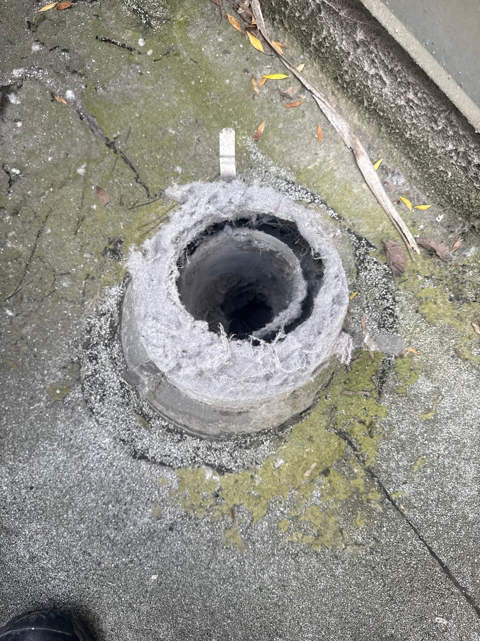 Exterior dryer vent cap on a San Francisco roof before cleaning, showing severe compacted lint caked around and inside the circular collar opening, with moss and algae visible on the surrounding roof surface