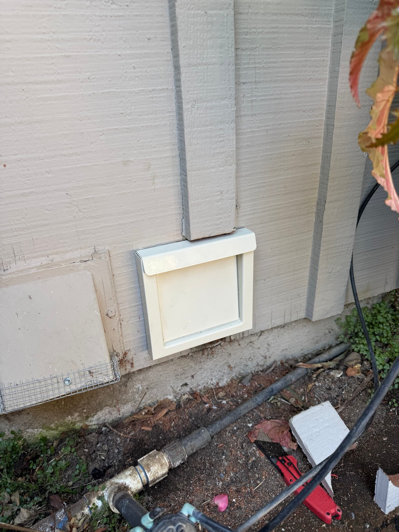 White plastic exterior dryer vent cap installed near ground level on a painted concrete foundation wall, with soil, leaves, and debris visible directly below the vent opening