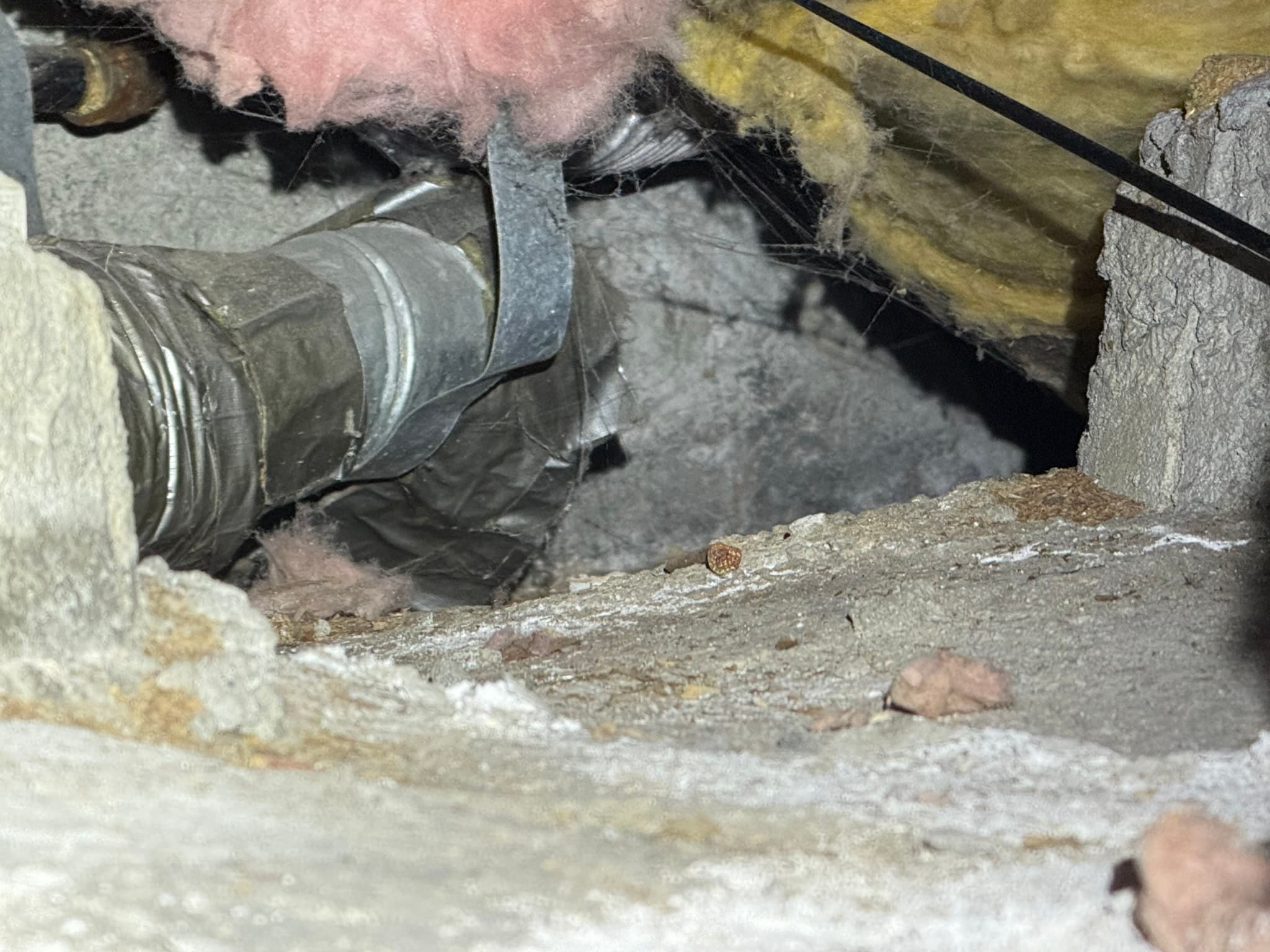 Concealed semi-rigid dryer exhaust duct inside the wall cavity, showing the non-code-compliant installation and the prohibited reduction from a 4-inch duct down to a 2-inch duct section before returning to 4 inches, along with the disconnected and unreachable duct segment