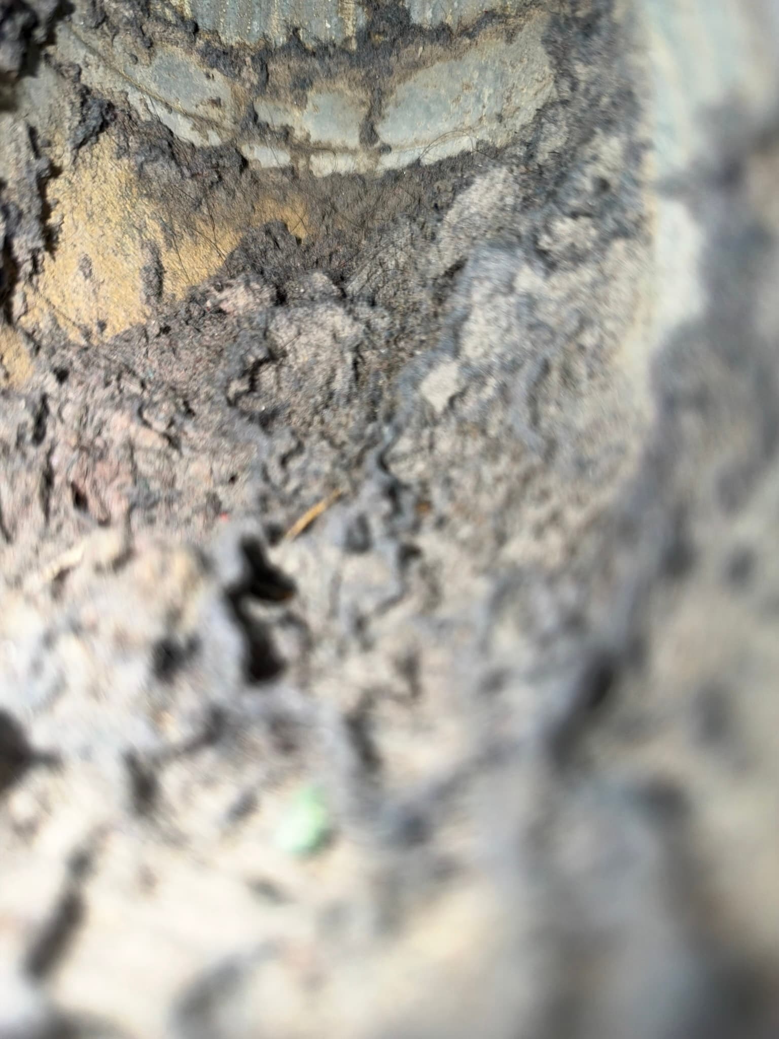 Close-up interior view of the dryer exhaust duct showing heavy, compacted lint coating the duct walls before cleaning.