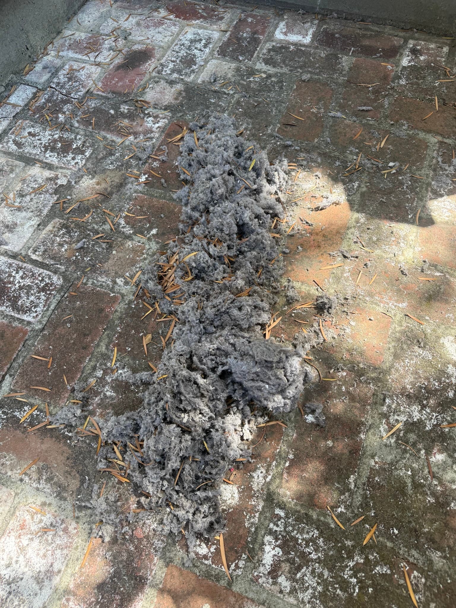 Dryer exhaust duct running along a tiled surface, heavily clogged with compacted gray lint and fibrous material that nearly fills the duct interior along its entire visible length