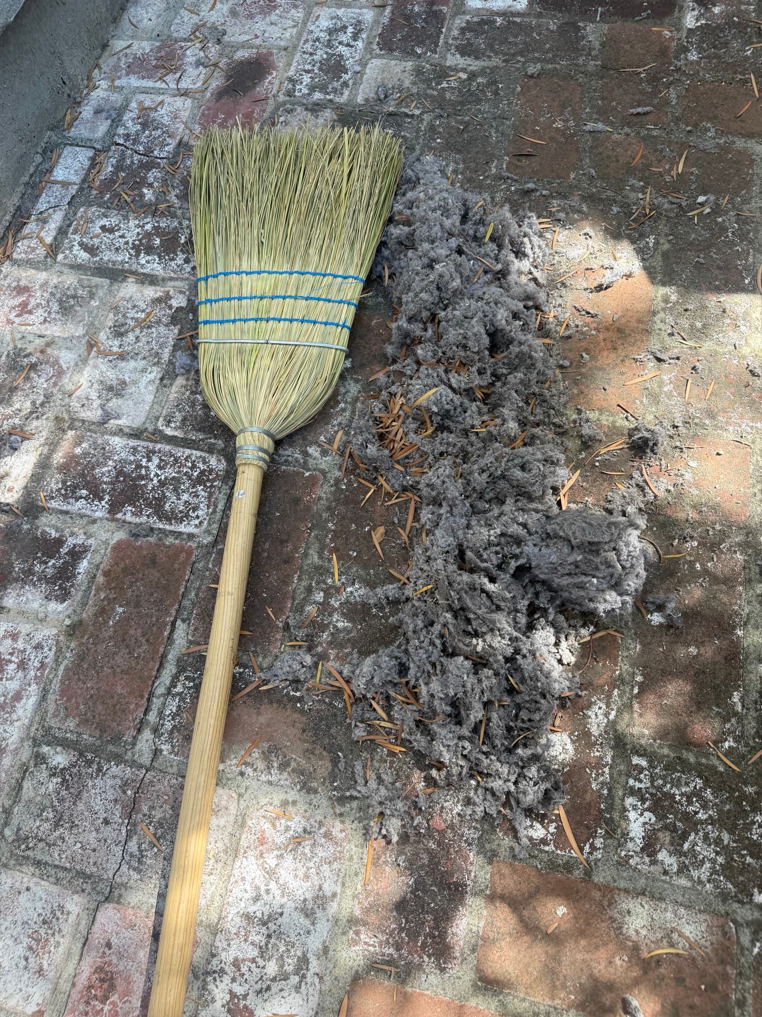 Large pile of wet, compacted lint and fibrous debris extracted from a dryer vent system, displayed on the ground next to a broom for scale, showing the severity of the blockage