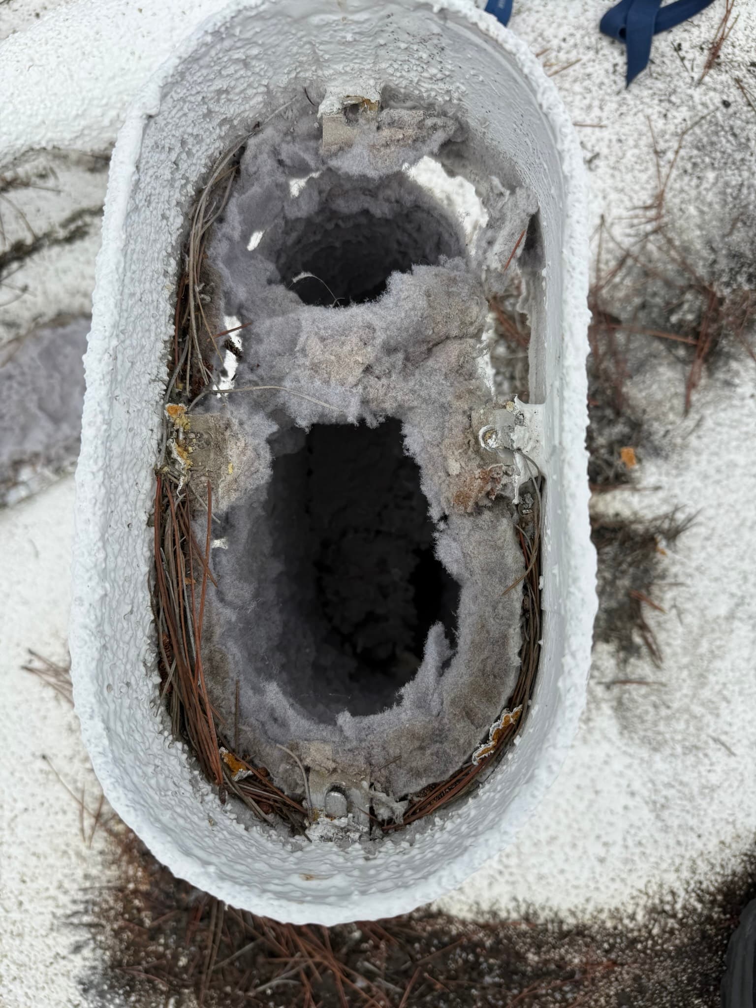 Exterior dryer vent cap with extreme lint accumulation coating the interior walls and opening, with dried grass and straw debris caught around the perimeter and a partially visible metal damper mechanism