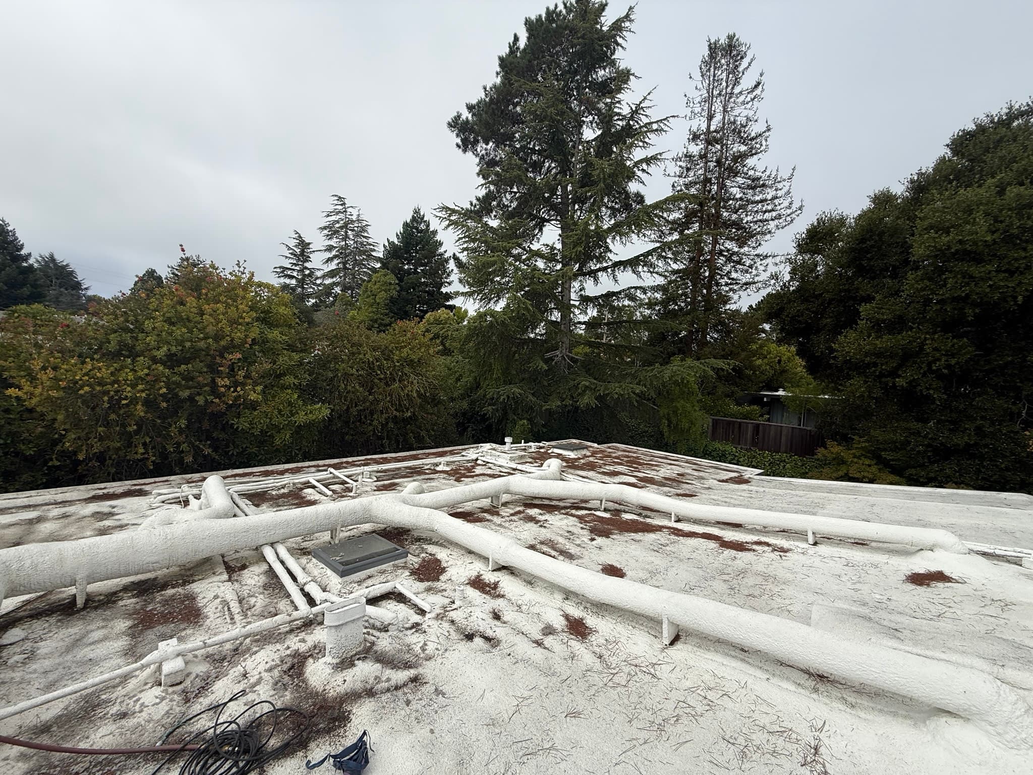 Flat roof surface with multiple white foam-insulated pipes and ducts, weathered and dirty roof membrane with algae or mold staining, metal pipe supports, and a central roof penetration access point
