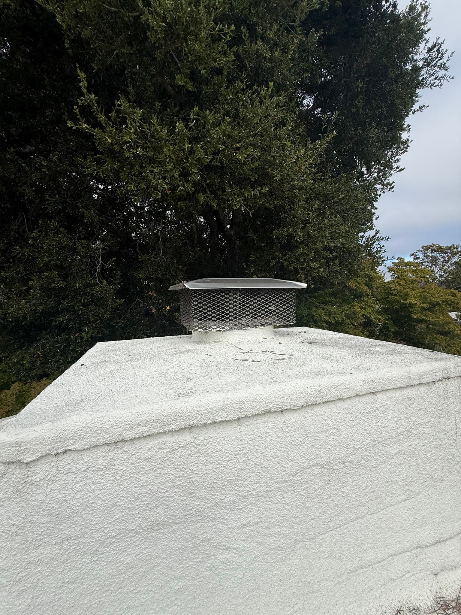 Roof-mounted chimney cap or dryer vent termination with a metal mesh screen housing and sloped rain hood on a flat roof with white reflective coating, appearing free of visible lint obstruction