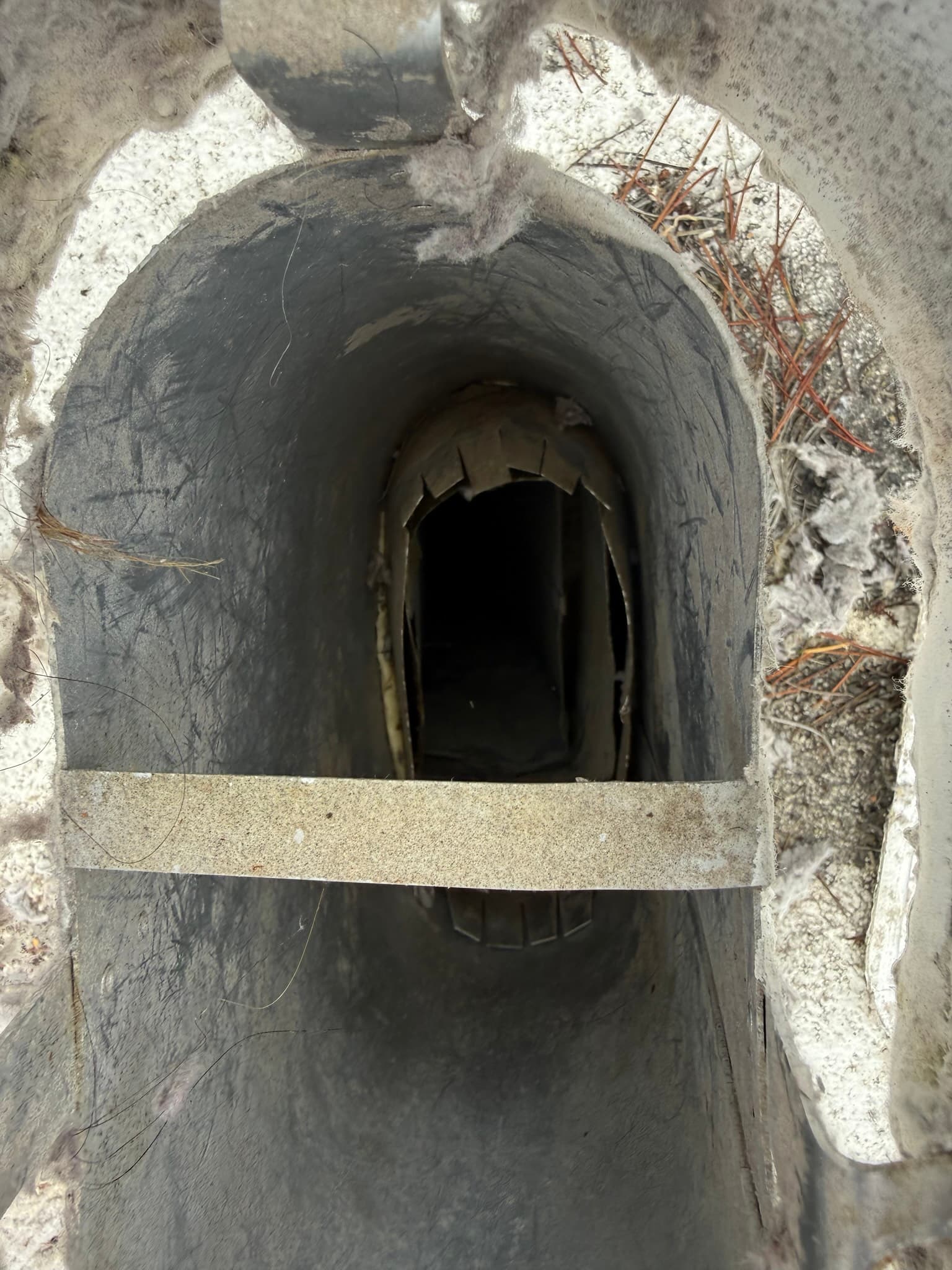 Close-up view looking into an exterior dryer vent cap opening showing heavy lint and dust coating the interior surface with twigs and dried plant debris visible around the exterior perimeter