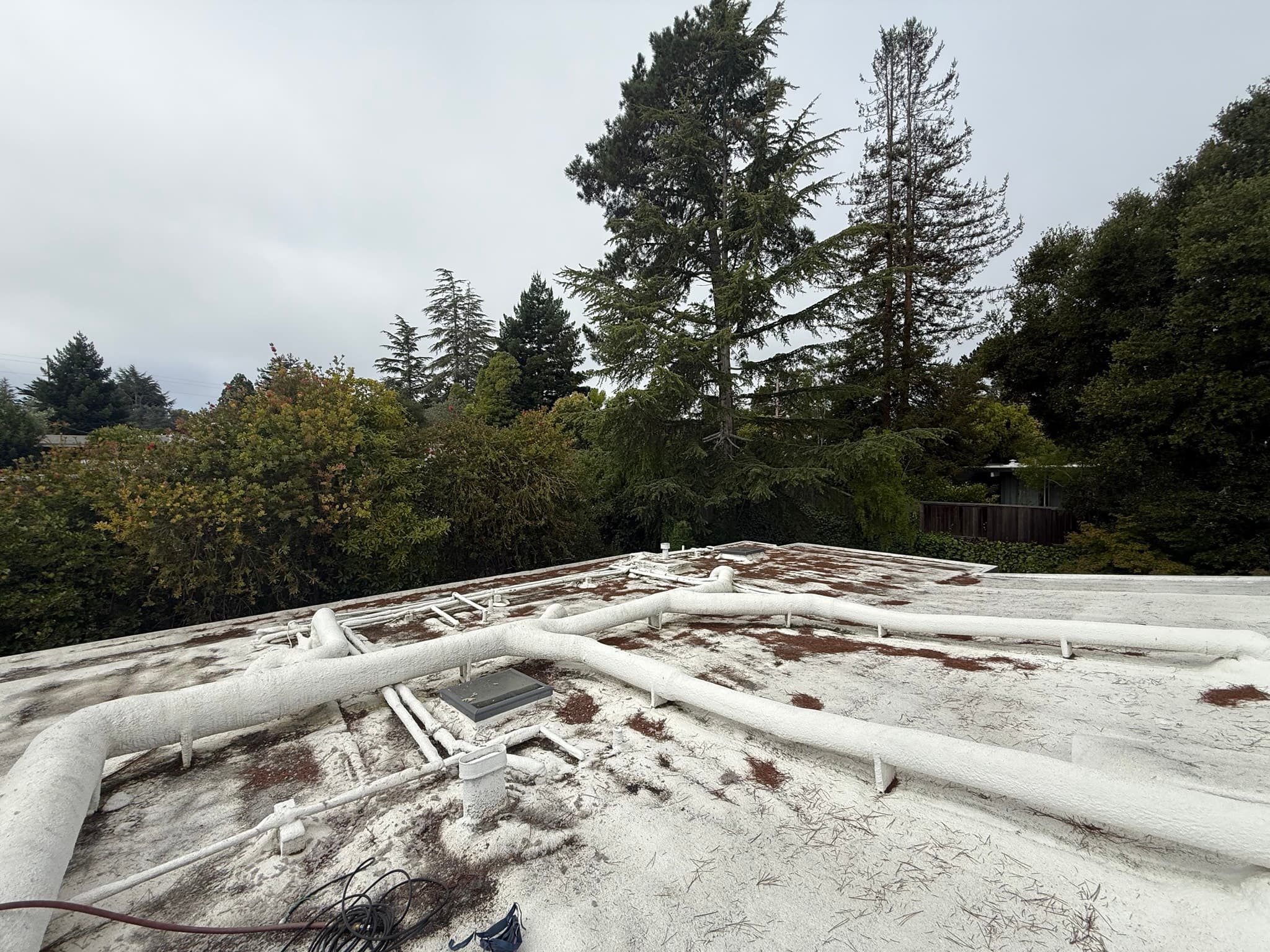 Flat roof with multiple white PVC pipes, heavy dirt and debris accumulation, weathered roofing material, and a residential neighborhood visible in the background