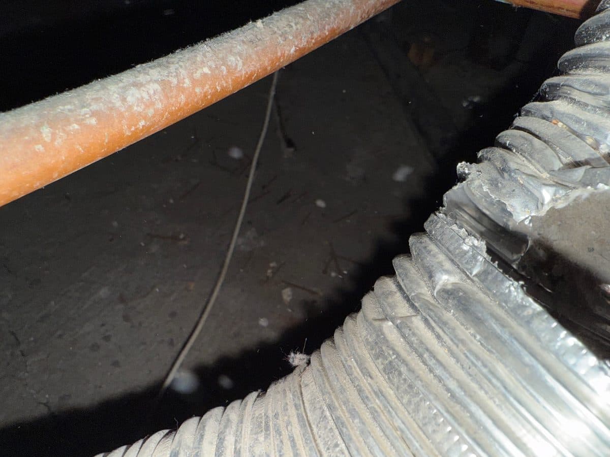 Full Service Exhaust & Dryer Cleaning in Redwood City — photo 3 of 5
