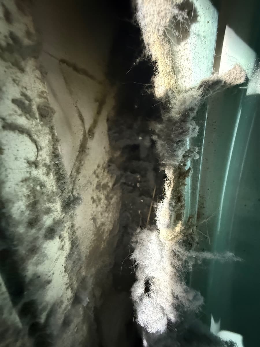 Multi Unit Dryer Vent Service in San Francisco — photo 4 of 8